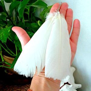 Cockatoo Feather Dangle Earrings 7" Statement Boho Chic Exotic Avian Inspired